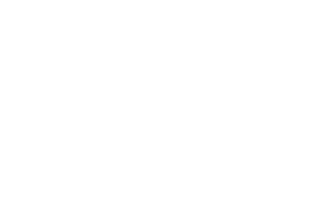 Stake Logo